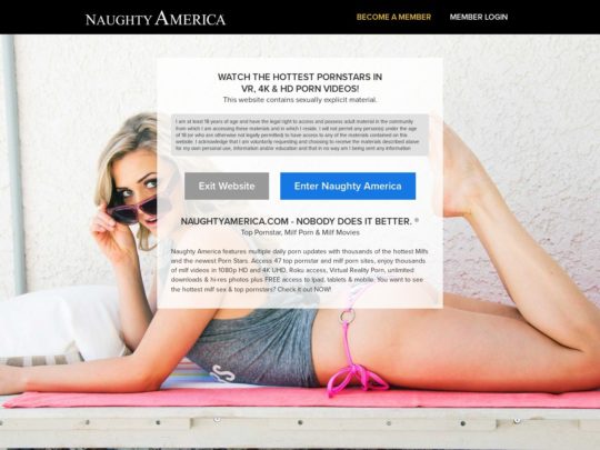 Naughty America
