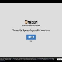 Mr Skin