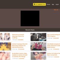 Sankaku Complex