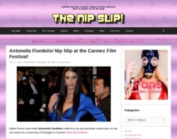 TheNipSlip