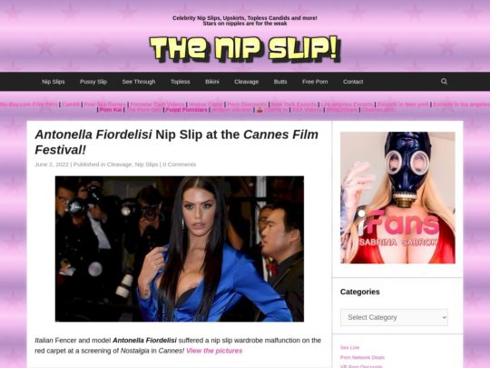 TheNipSlip