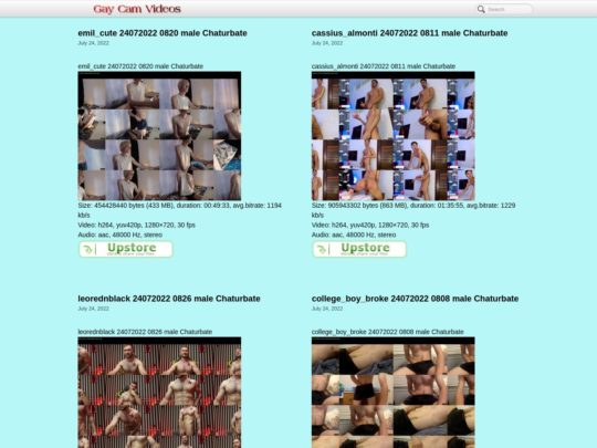 GayCamVideos
