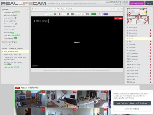 RealLifeCam