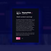 VoyeurHub