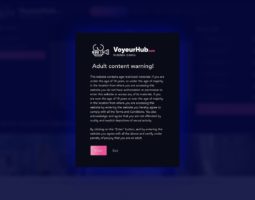 VoyeurHub