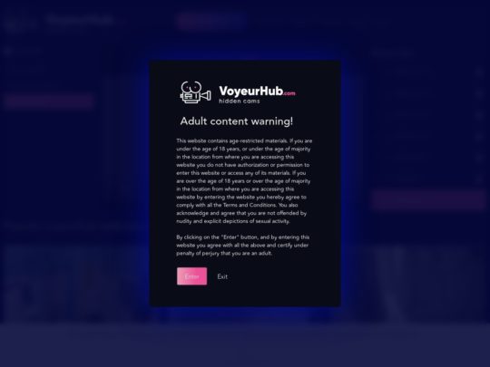VoyeurHub