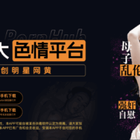 PornHub中文版